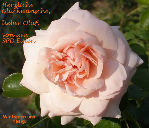 Glückwünsche Olaf Scholz