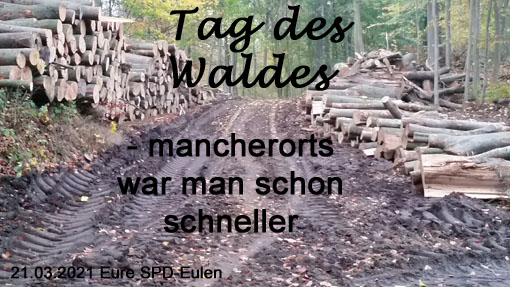 Tag des Waldes